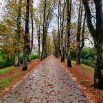 Vrelo Bosne Villa *