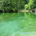 Villa Vrelo Bosne *