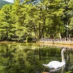 Vrelo Bosne Sarajevo