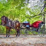 Vrelo Bosne Sarajevo
