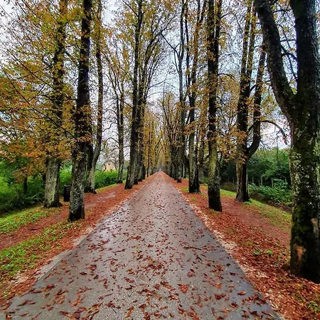 Vrelo Bosne Villa *