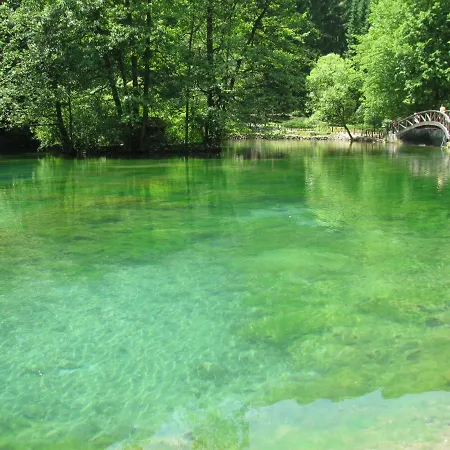 Vila Vrelo Bosne *