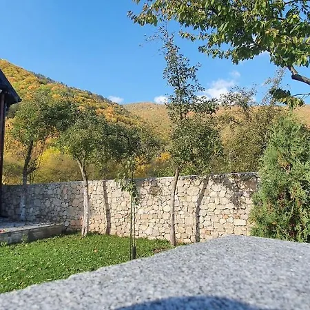 Vrelo Bosne *