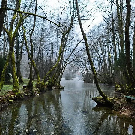 Vila Vrelo Bosne