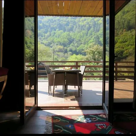Vrelo Bosne Villa